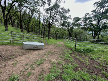 90-95 Longhorn Ridge Road, Lot 8 Image #869