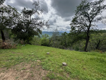 90-95 Longhorn Ridge Road, Lot 8 Image #871