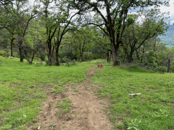 90-95 Longhorn Ridge Road, Lot 8 Image #872
