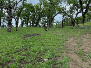 90-95 Longhorn Ridge Road, Lot 8 Image #873