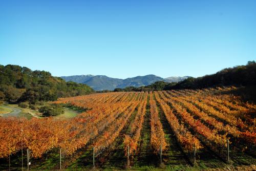 7400 Bennett Valley Road Image #2