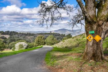 6195 Sonoma Mountain Road Image #73