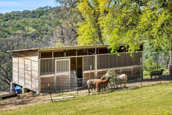 90 Longhorn Ridge Road Image #80
