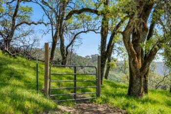 95 Longhorn Ridge Road Image #36