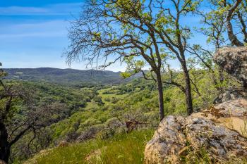 95 Longhorn Ridge Road Image #38