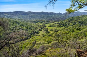 95 Longhorn Ridge Road Image #39
