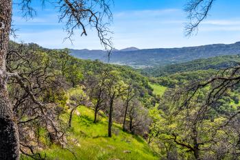 95 Longhorn Ridge Road Image #40