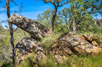 95 Longhorn Ridge Road Image #41