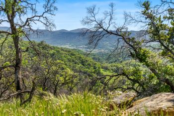 95 Longhorn Ridge Road Image #42
