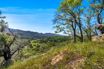 95 Longhorn Ridge Road Image #44