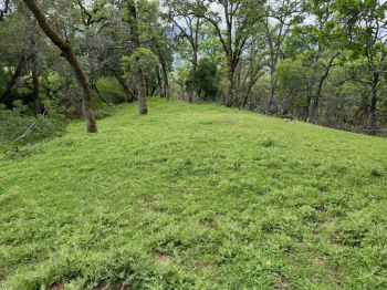 Lot 8 Longhorn Ridge Road Image #9