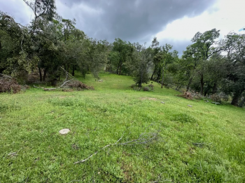 Lot 8 Longhorn Ridge Road Image #11