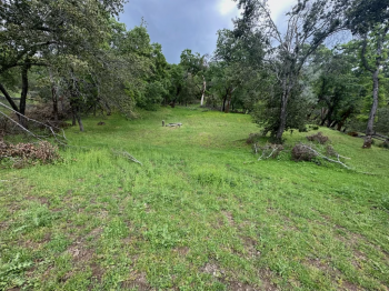 Lot 8 Longhorn Ridge Road Image #5