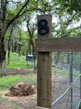 Lot 8 Longhorn Ridge Road Image #24