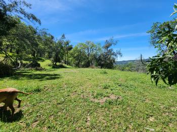 Lot 8 Longhorn Ridge Road Image #7