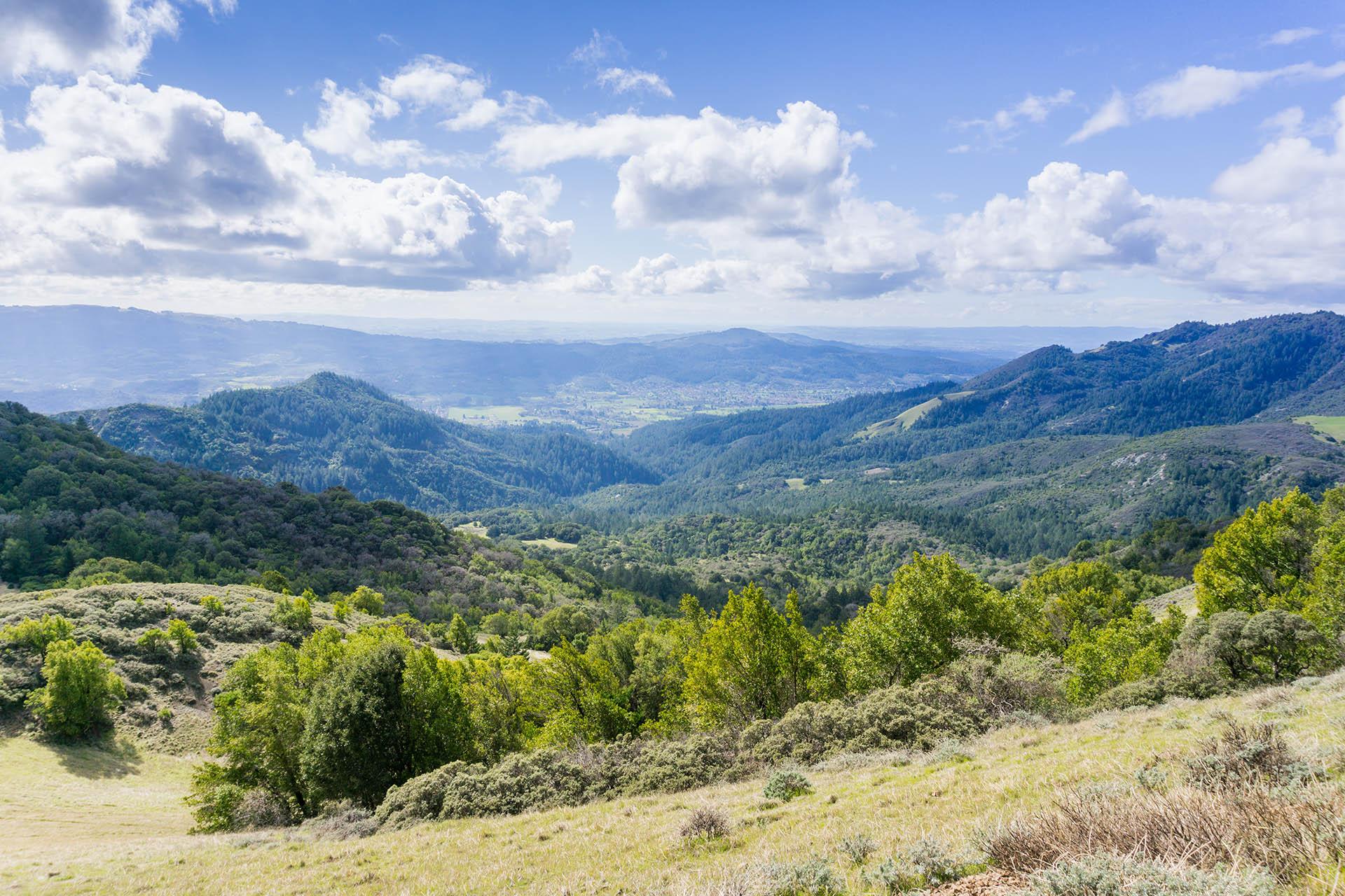 Living In Wine Country - Kenwood