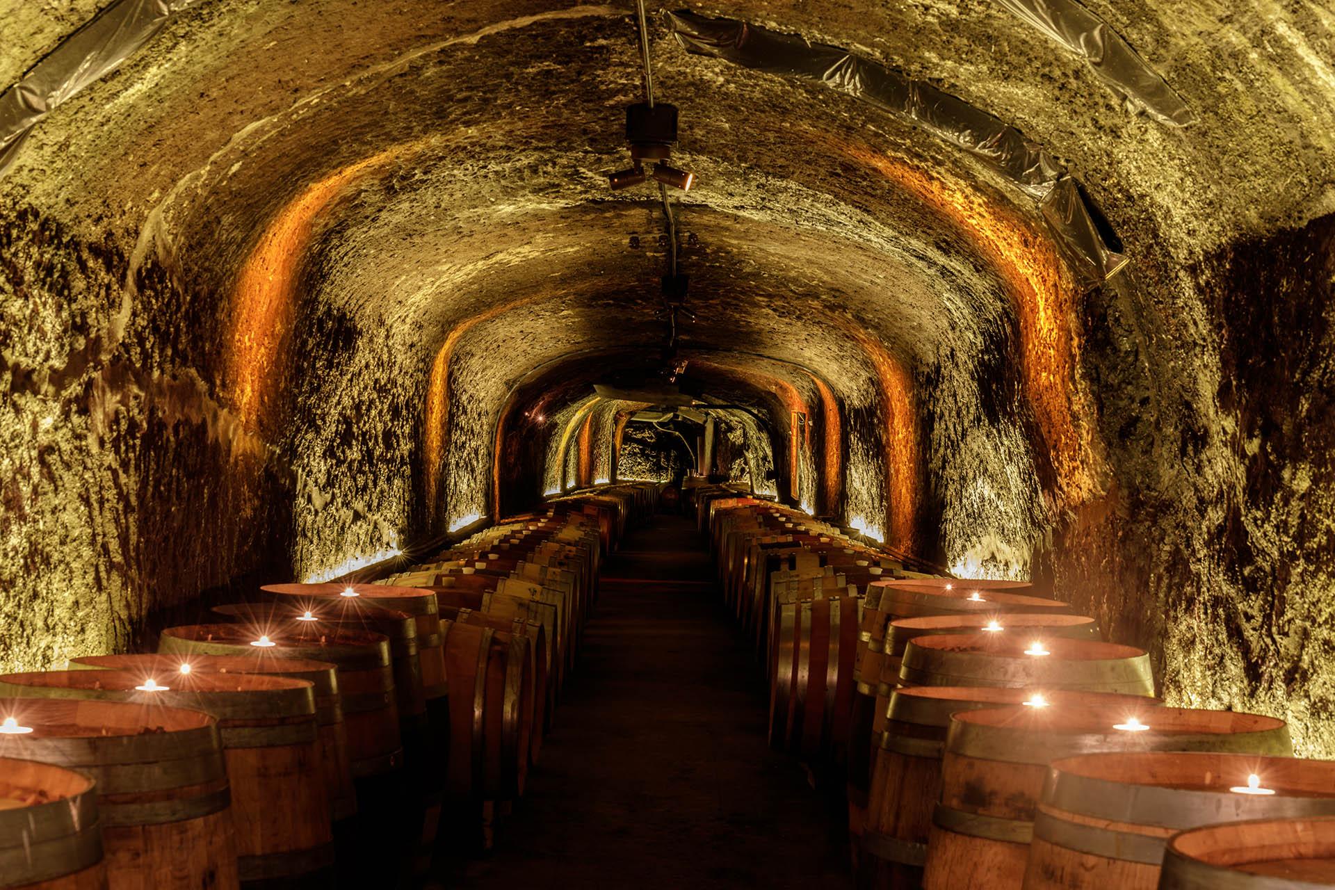 Living In Wine Country - Oakville