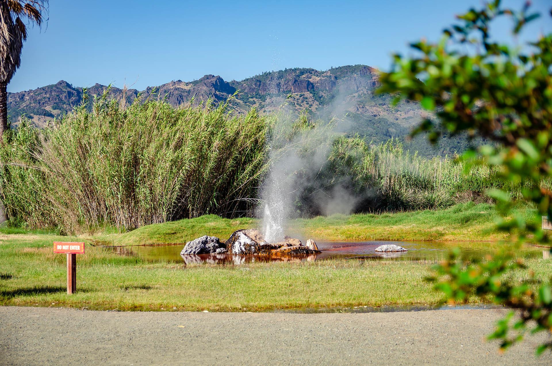 Living In Wine Country - Calistoga